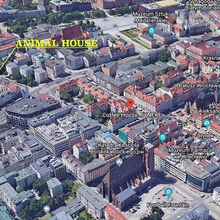 Animal House - StayinBreslavia Exterior foto