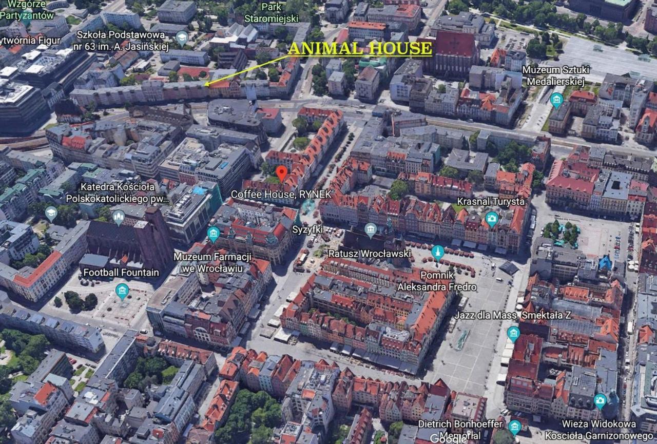 Animal House - StayinBreslavia Exterior foto