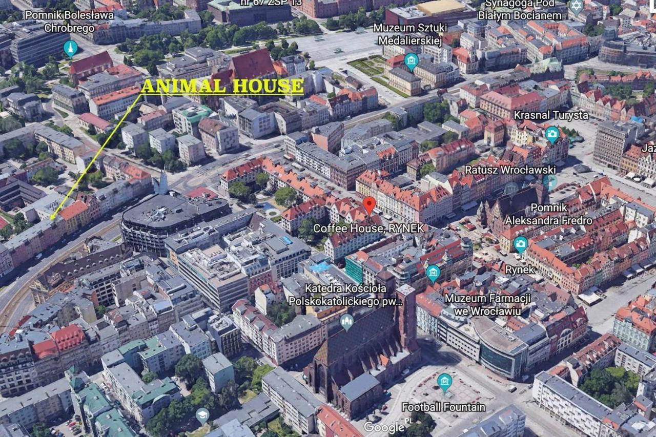 Animal House - StayinBreslavia Exterior foto